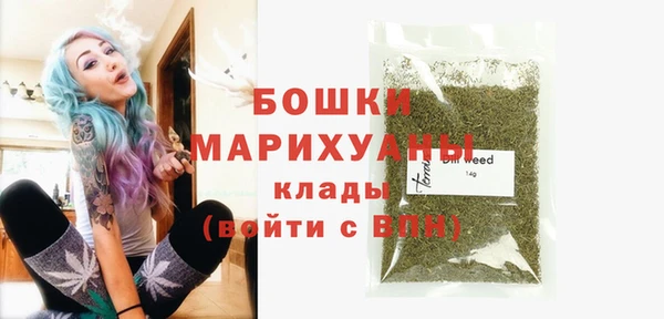 гашик Белокуриха