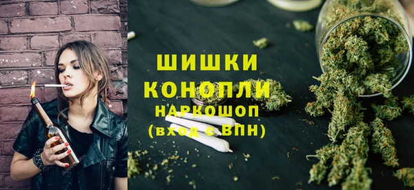 гашик Белокуриха
