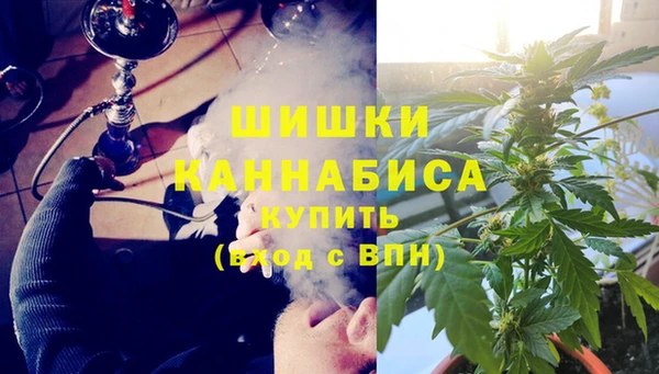 гашик Белокуриха